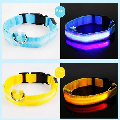 LED Glow In The Dark Dog Collar