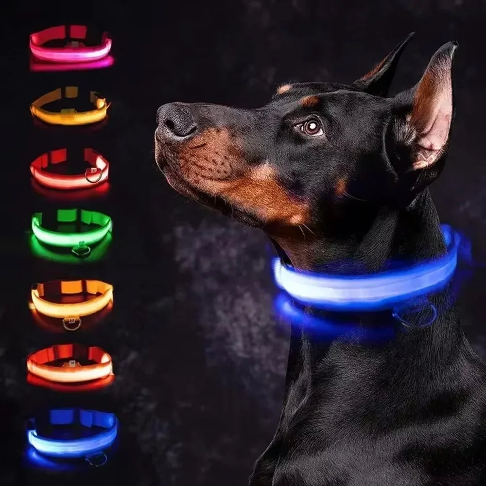 LED Glow In The Dark Dog Collar