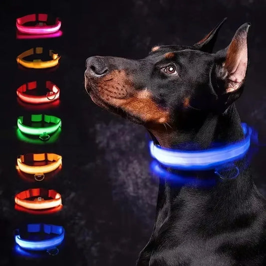 LED Glow In The Dark Dog Collar