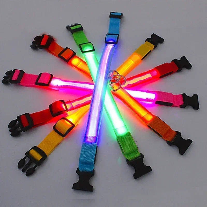LED Glow In The Dark Dog Collar