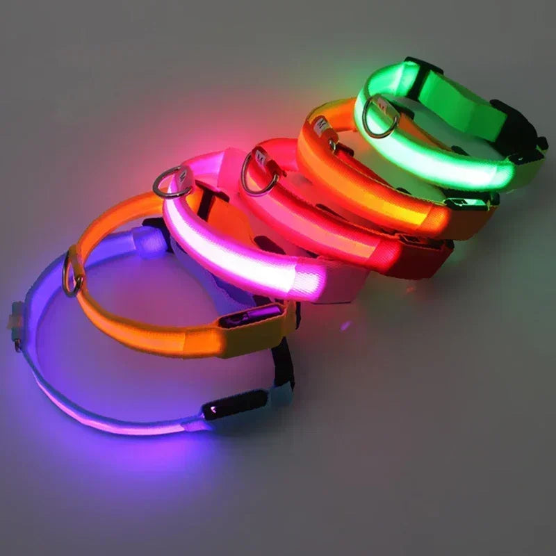 LED Glow In The Dark Dog Collar