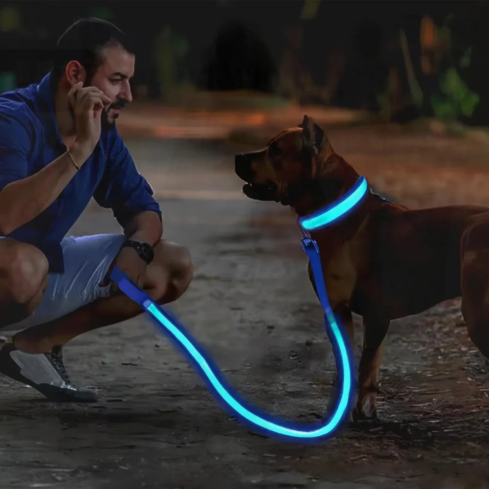 LED Glow In The Dark Dog Collar