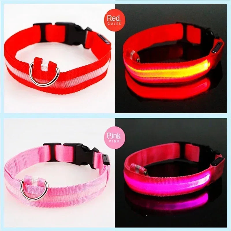 LED Glow In The Dark Dog Collar