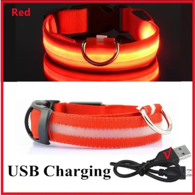 LED Glow In The Dark Dog Collar