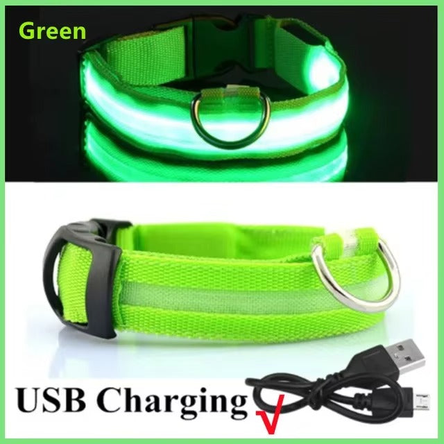 LED Glow In The Dark Dog Collar