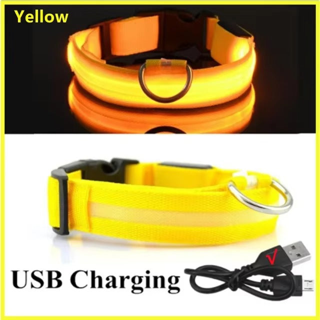 LED Glow In The Dark Dog Collar
