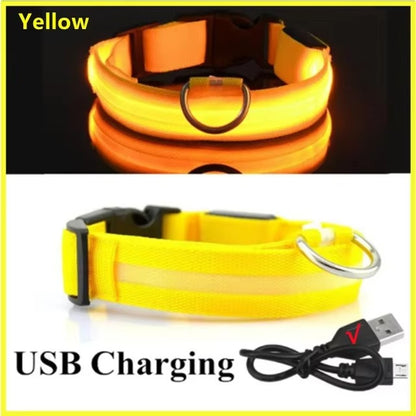 LED Glow In The Dark Dog Collar