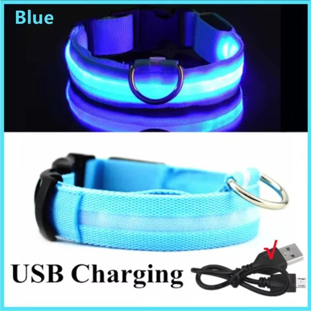 LED Glow In The Dark Dog Collar