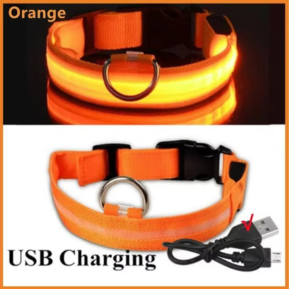 LED Glow In The Dark Dog Collar