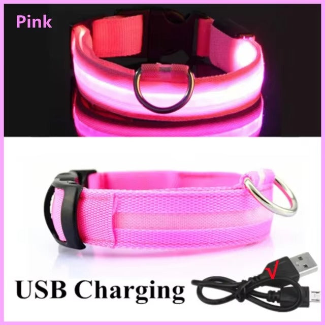 LED Glow In The Dark Dog Collar
