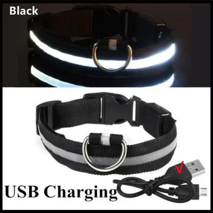 LED Glow In The Dark Dog Collar